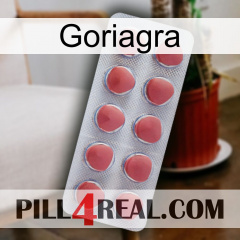 Goriagra 18